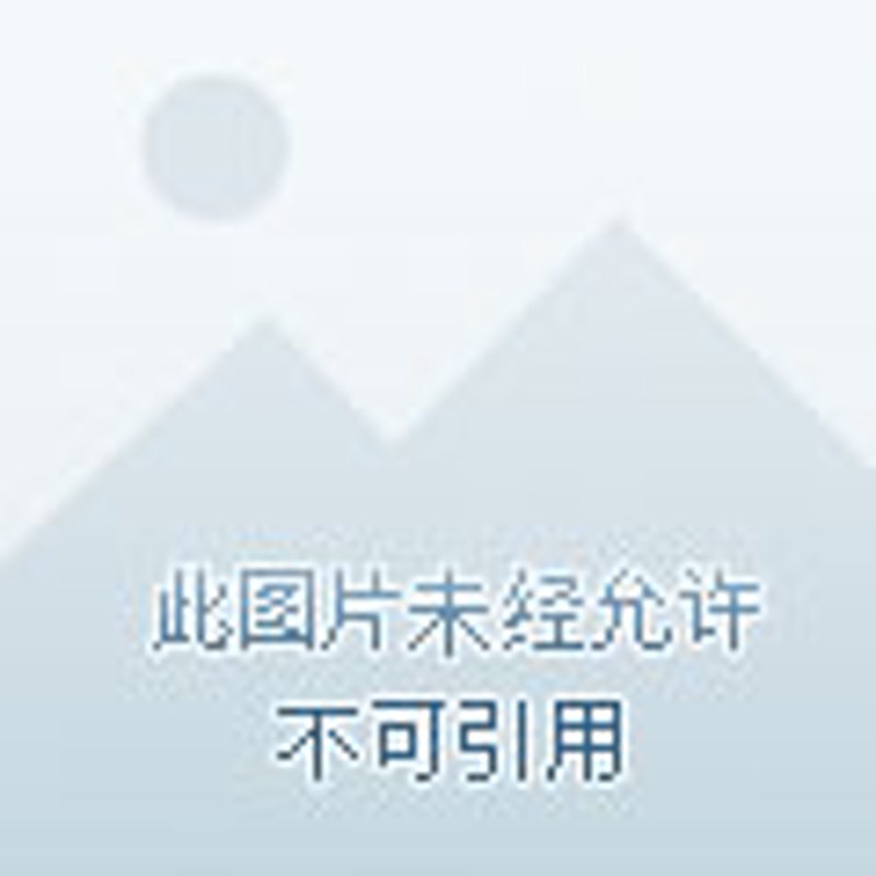 跨境进口电商，全球资源与消费者的亲密接触